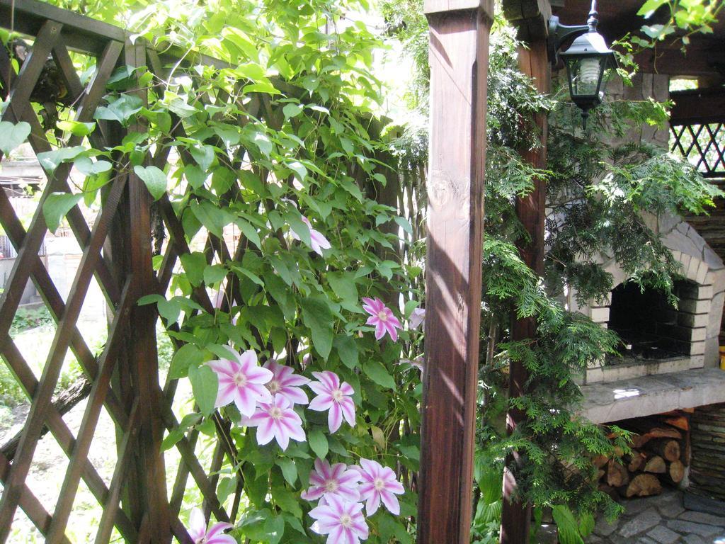 Guest House Voyno Dobrinishte Exterior photo
