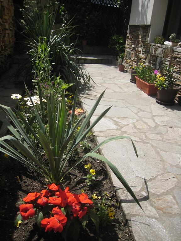 Guest House Voyno Dobrinishte Exterior photo